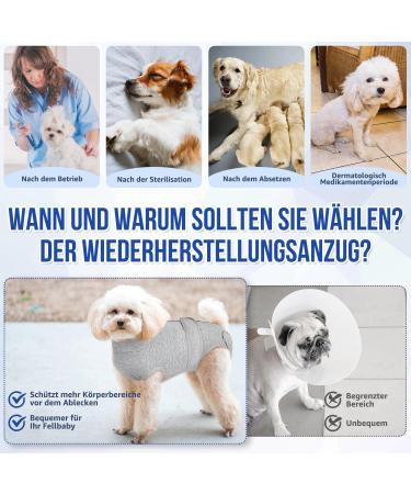 Slowton Dog Recovery Suit - Soft Breathable Anti-Wound Licking Zipper Suit for Male Dogs After Surgery - Comfortable E-Neck Band Gray - Buy Online on SooperMarket.com