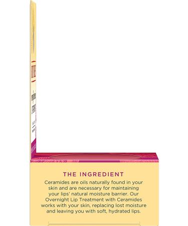 Burt's Bees Overnight Intensive Lip Treatment - Natural Passionfruit & Chamomile Moisturizer, 0.25 oz - Buy Online on SooperMarket.com