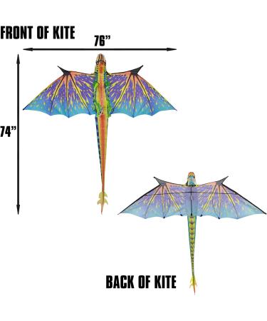 WindNSun Super Size 3D Blue Dragon Kite | 76 Wide Ripstop Nylon | Glass Eye Design - Buy Online on SooperMarket.com