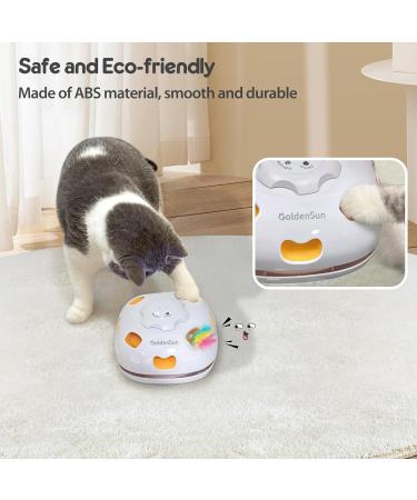 GoldenSun Rechargeable 4in1 Interactive Cat Toy - Hide and Seek Kitten Wand, Whack a Mole, Motion Self Play - Electronic Automatic Cat Toy for Indoor Cats - Exercise and Entertainment - Black Meow - Buy Online on SooperMarket.com