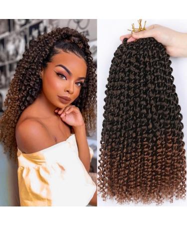 Passion Twist Hair 7 packs 12 inch Crochet BRAIDS HAIR WATHER WATE HUCK HARD for long B hmische Haar Braids Kunsthaar Yddm Passion Twist Crochet Hair Synthetic hair extensions T1B-30# 12inch (7 Pack)