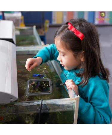 SunGrow Feeding Ring for Goldfish & Small Fish - Floating Food Square | Perfect for Flakes | 1 Piece - Buy Online on SooperMarket.com