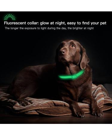 Dewel Shining Tick Collar for Dogs - Adjustable Waterproof Flea & Tick Prevention XL 63.5cm - Lightweight & Effective Vermin Control - Buy Online on SooperMarket.com