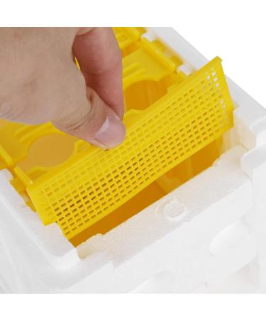 Plplaaoo Pollination Box | Professional Bee Queen Rearing & Breeding Equipment | International Shipping - Buy Online on SooperMarket.com