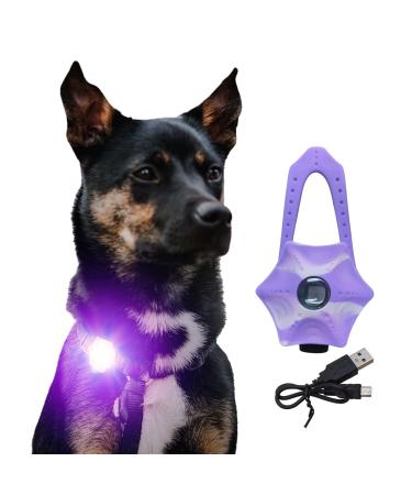 LaRoo Safety LED-Flashing Light for Dogs Cats LED-Light Pendant Keyring Clip on Dog Collar Charms Blinker Light Waterproof Safety Light for Walking the Dog and Outdoor Sports rechargable Purple-1