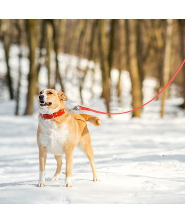 Toozey Dog Drag Line - 3m to 20m Waterproof Training Leash for Large & Small Dogs | Durable Neon Orange with Hand Loop & Mains Bag - Buy Online on SooperMarket.com