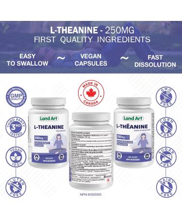 L-Theanine 250mg 180 Vcaps - BONUS SIZE - 180 Servings - HIGH POTENCY - Promotes Relaxation - Vegan - Made in Canada - Buy Online on SooperMarket.com