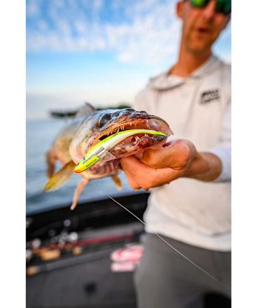 Berkley Gulp! Alive! 1-Inch Minnow Smelt - Realistic and Lifelike Fishing Bait - Buy Online on SooperMarket.com