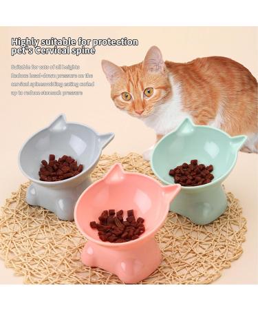 3 PCS Raised Cat Bowl Elevated Cat Feeding Bowls with Stand Tilted Pet Dog Cat Bowl Anti-Tipping Anti Vomit Cat Food Bowl Feeding Water Bowl Cat Dishes 15 Tilted Raised Cat Feeder - Buy Online on SooperMarket.com
