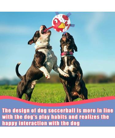 Hetoo Interactive Dog Toys | Durable Football with Gripping Bottles | Perfect for Small & Medium Breeds | Water Toys for Indoor & Outdoor Play - Large Size 3 Angry-Chick - Buy Online on SooperMarket.com