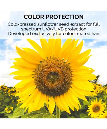 ColorProof SuperPlump Whipped Bodifying Mousse 7.5 oz - Color-Safe, Vegan, Sulfate-Free, Salt-Free - Professional Hair Product - Buy Online on SooperMarket.com