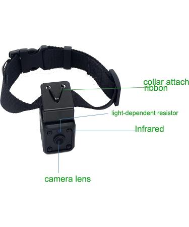Wireless Rechargeable WiFi Pet Collar Camera Recorder Tracker - 720P HD with Night Vision - Bigger Size - Behavior Observation - Buy Online on SooperMarket.com