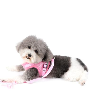 Ranphy Cat Dishes & Adjustable Dog Harness - Reflective No Pull Soft Mesh Comfortable Fit for Small Dogs - Pink - Buy Online on SooperMarket.com