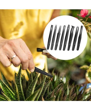 8 Pieces Venus Fly Trap Feeding Tweezers Carnivorous Plant Feeding Tongs Straight and Curved Food Tongs for Flytraps Pitcher Plants Butterwort Reptile Feeding - Buy Online on SooperMarket.com