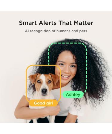 Petcube Bites 2 Lite - Interactive WiFi Pet Camera & Treat Dispenser with Sound Alerts - Buy Online on SooperMarket.com
