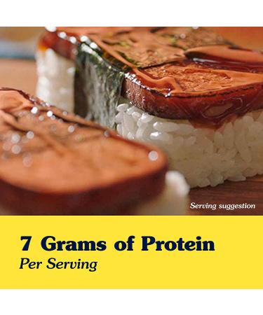 Spam Tocino Seasoning 12 oz Can - Delicious Seasoning Mix for Authentic Tocino Flavor - Buy Online on SooperMarket.com