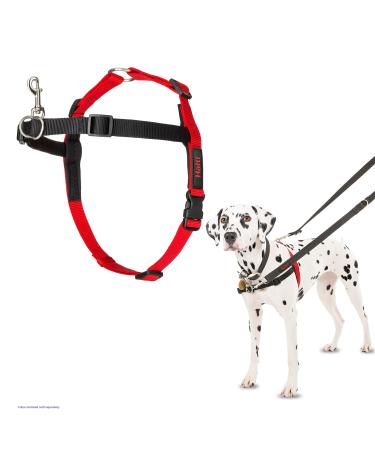 Company of Animals HALTI Front Control Harness Size Medium Professional Dog Harness to Stop Pulling on the Lead Easy to Use Anti-Pull Training Aid Front Leading No Pull Harness for Medium Dogs