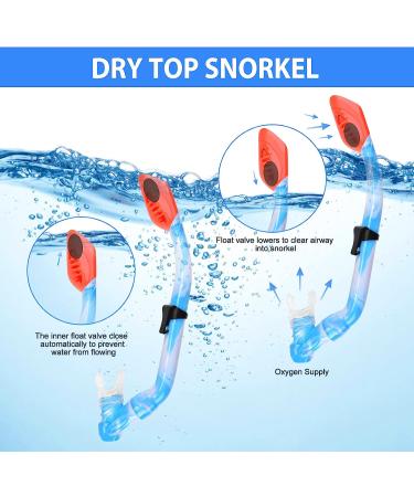 Kids Snorkel Set - Dry Top Snorkeling Gear for Youth Ages 5-15 | Tempered Glass Mask and Snorkel Set with 180 Panoramic View - Blue - Buy Online on SooperMarket.com