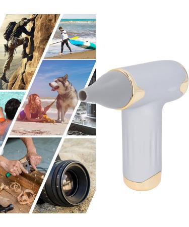 Alomejor Mini Fan - Portable Bladeless Hair Dryer for Pets | 4 Wind Levels 1100mAh Battery - Ideal for Cats & Dogs (Silver - Buy Online on SooperMarket.com