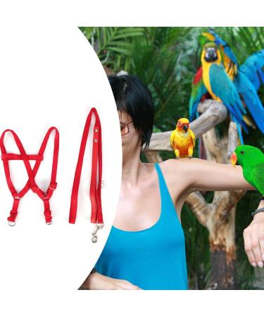 Felenny Bird Dishes & Leash - Adjustable Outdoor Accessories for Scarlet Macaw Sun Conure and Nymphensittich - Anti-Bite Protection (Large Red) - Buy Online on SooperMarket.com
