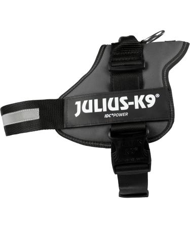 K9 Powerharness L/1 Anthracite - Durable Dog Harness for All Sizes | International Shipping Available - Buy Online on SooperMarket.com