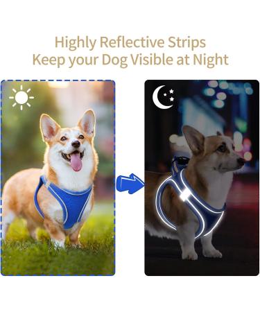 Heele Dog Harness for Small & Medium Dogs - Adjustable Reflective Soft Mesh in Royal Blue (2XS) - Breathable & Comfortable - Buy Online on SooperMarket.com