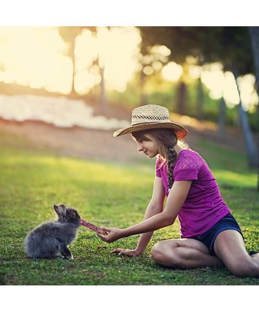 Premium Timothy Hay Sticks: Natural & Nutritious Treats for Small Pets - Buy Online on SooperMarket.com