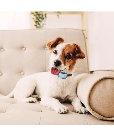 PcEoTllar Small Dog Bark Collar - Humane Anti Barking Device with 7 Levels Vibration & Beep Modes - Buy Online on SooperMarket.com