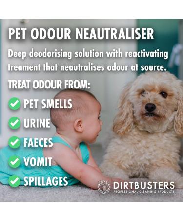 Dirtbusters Pet Odour Eliminator Spray - Enzymatic Deodoriser Wild Fig & Cassis 500ml - Buy Online on SooperMarket.com