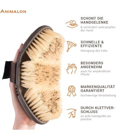 Animalon Careflex Root Brush - Natural Horse Brush with Hard Bristles Ergonomic Design Flexible Cardboard & Velcro Fastener - Premium Quality Care for Your Horse - Buy Online on SooperMarket.com