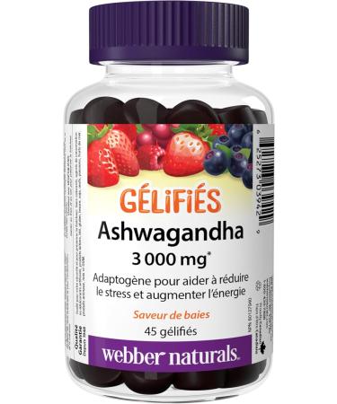 Webber Naturals Ashwagandha Gummy 45 Berry Flavoured Gummies Helps to Reduce Stress & Vitamin D3 2500 IU 75 Gummies For Healthy Bones Teeth - Buy Online on SooperMarket.com