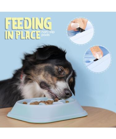 Purrfects Slow Feeder Dog Bowl (Sky Blue) - Anti Choke and Bloat - Dog Slow Feeder for Slower Feeding - Buy Online on SooperMarket.com