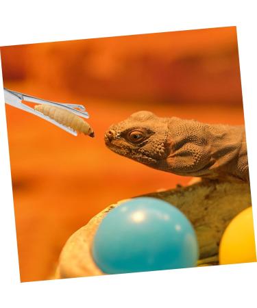 BELLIFFY Reptile Feeding Clip Reptile Tongs Feeding Snake Feeding Tongs Stainless Steel Silver - Buy Online on SooperMarket.com