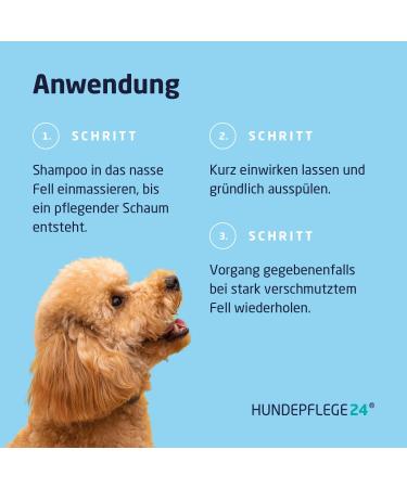 Dog Care24 Shampoo & Conditioner 500ml - Aloe Vera Formula for Healthy Glossy Fur & Easy Combability | Suitable for All Dog Breeds - Buy Online on SooperMarket.com