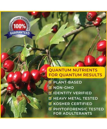 Quantum Blood Pressure Support 60 Caps - Natural Hypertension Relief - Buy Online on SooperMarket.com