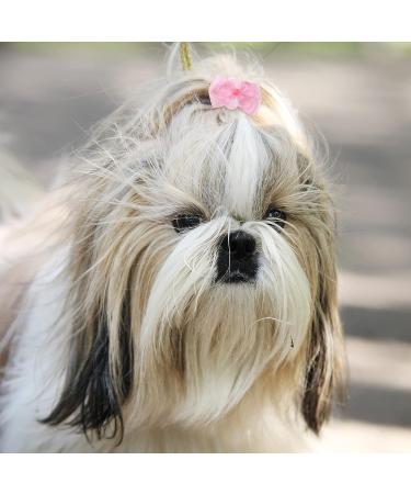 100-Piece Multicolor Dog Hair Bows with Rhinestone Pearls - Cute Girl Puppy Accessories for Pet Grooming - Buy Online on SooperMarket.com