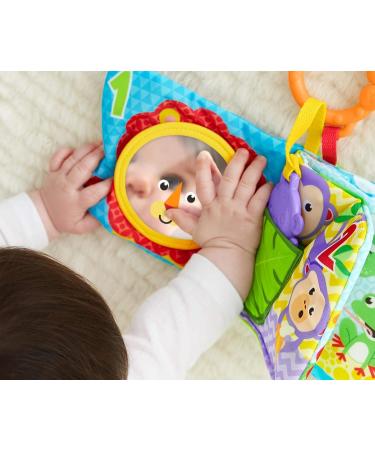 Fisher-Price FGJ40 Little Play Book - Soft Baby Book with Removable Toy | Multicolor Baby Toy from Birth | Perfect Gift for Infants - Buy Online on SooperMarket.com
