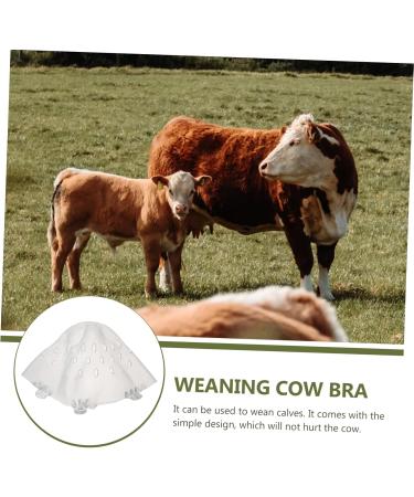 Buy Milk Hood Cow Breast Cover - Calf Weaner Tool for Cattle - Farm Supplies & Animal Husbandry Equipment - Buy Online on SooperMarket.com