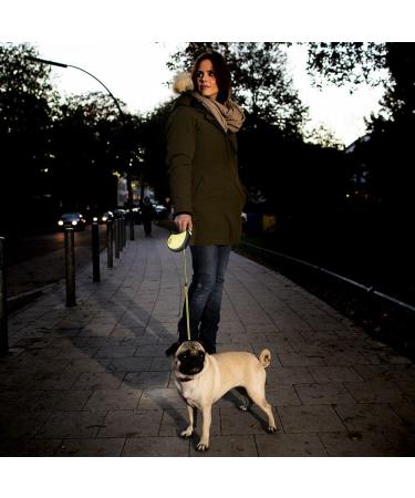 Flexi Roll-Line Neon Reflective Rope 5m for Dogs Up to 20kg - Classic Pink - Buy Online on SooperMarket.com