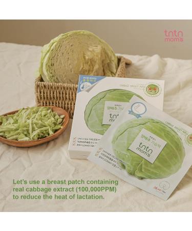 TNTN MOM'S Cabbage Breast Care Set - 8 Patch + 3.38 Fl oz Cream for Breastfeeding and Pregnancy - Buy Online on SooperMarket.com