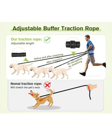 Pecute Jogging Line for Dogs - Elastic Running Leash with Belly Belt for Large & Medium Dogs - Durable Comfortable Up to 100kg - Perfect for Jogging & Outdoor Adventures - Buy Online on SooperMarket.com