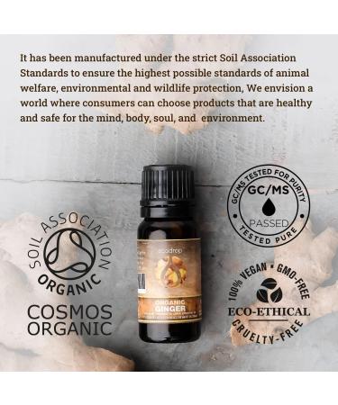 Organic Ginger Essential Oil 10ml by Ecodrop - Therapeutic Grade, Cosmos Certified, Pure Ginger Root Oil for Aromatherapy with Free E-Book - Buy Online on SooperMarket.com