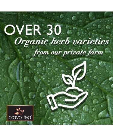 BRAVO TEAS&HERBS Blood Circulation Herbal Tea - Caffeine Free, 20 Count | Natural Wellness - Buy Online on SooperMarket.com