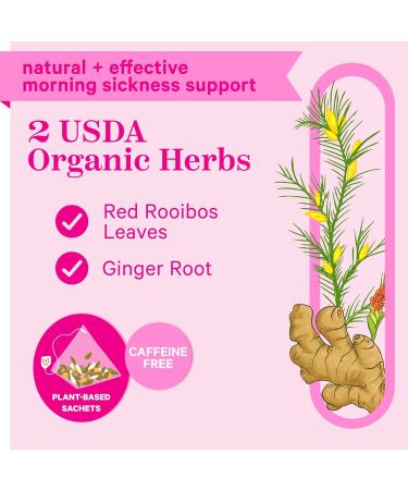Pink Stork Nausea Relief Tea: 100% Organic Nausea Relief Tea Ginger Tea for Motion Sickness Digestion Nausea Relief for Women Women-Owned Ginger Peach 30 Cups - Buy Online on SooperMarket.com