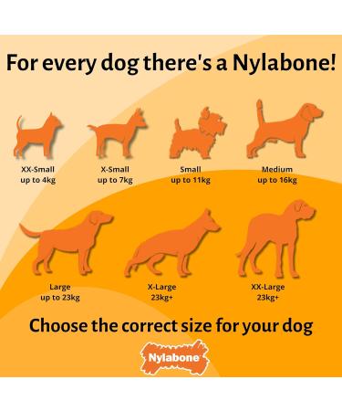 Nylabone Extreme Power Chew Gator Tail Alternative Dog Chew Toy Chicken Flavour - Large/Giant (Up to 23kg) - Buy Online on SooperMarket.com