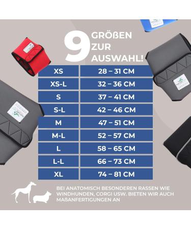Sailing Trousers for Dogs 2.0 | High-Quality Neoprene Male Diapers - XS Gray - Optimal Air Exchange - Buy Online on SooperMarket.com
