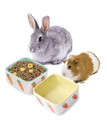 JanYoo Hamster Food Bowl Guinea Pig Feeder Accessories Ceramic for Cage with Water Supplies for Bunny Blue Yellow 150 ml (2 Pack) C-Blue+Yellow Pack of 2
