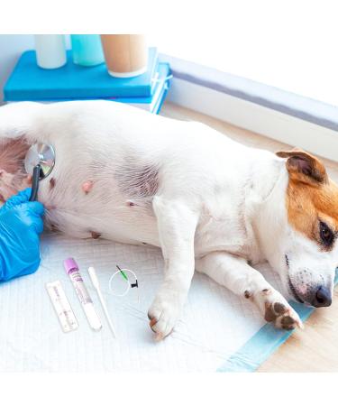 GANAZONO Pet Dog Pregnancy Pregnant Test Paper Strip Fast and Accurate Detection Pet Dog Pregnancy Test Card Dog Pregnant Test - Buy Online on SooperMarket.com