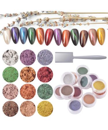 WEILUSI Nail Art Cat Eye Effect Powder Glitter Holographic Nail Art DIY Dust Decor Tip 12 Colors Cat-eye powder