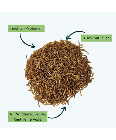 Blumixx Mealworms for Wild Birds & Small Animals - 800g Nutritious Dried Feed | Ideal Winter Bird Food & Pet Supplement - Buy Online on SooperMarket.com